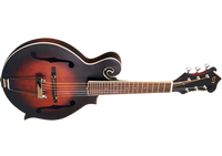 GOLDTONE F-6 6-String F-Style Mandolin Guitar