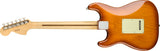 Fender American Performer Stratocaster® Honey Burst