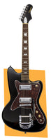Silvertone 1478 Series Black
