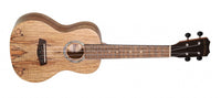 ISLANDER CONCERT UKE SPALTED MAPLE