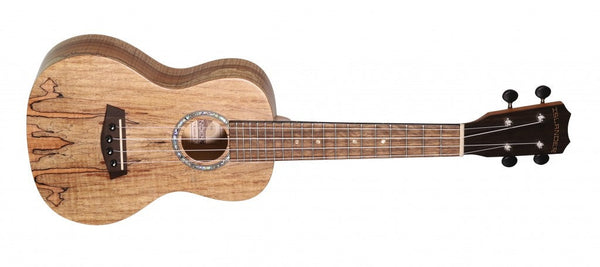 ISLANDER CONCERT UKE SPALTED MAPLE