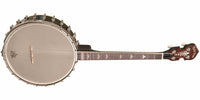 GoldTone Professional 4-String Irish Tenor Openback Banjo