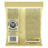 EARTHWOOD LIGHT 80/20 BRONZE ACOUSTIC GUITAR STRINGS
