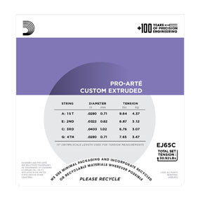 EJ65C Pro-Arté Custom Extruded Ukulele, Concert