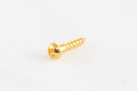 GS-3376 Small Tuner Screws Gold